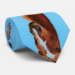 Stallion Horse print Stropdas