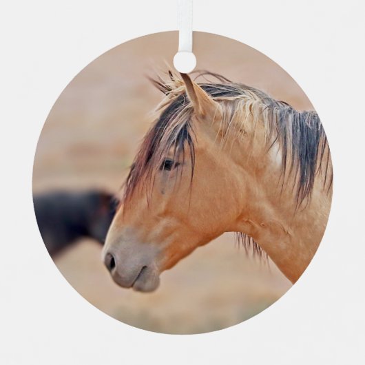 Stallion kijkt ornament (Voorkant)