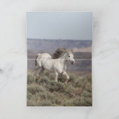 Stallion leidt het Wenskaart van wilde paarden Kaart (Binnen)