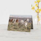 Stallion leidt het Wenskaart van wilde paarden Kaart (Gele Bloem)