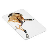 Stallion Magneet (Rechterzijde)