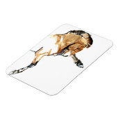 Stallion Magneet (Linkerzijde)