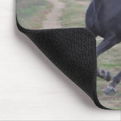 Stallion Muismat (Hoek)