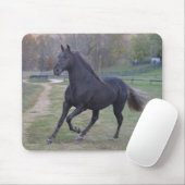 Stallion Muismat (Met muis)