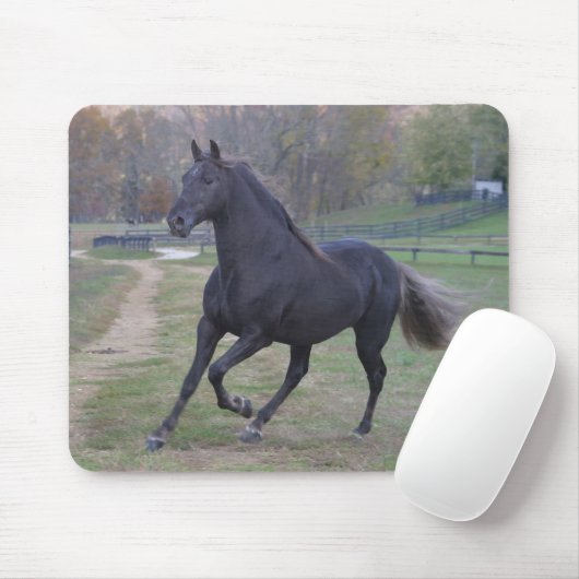 Stallion Muismat (Met muis)