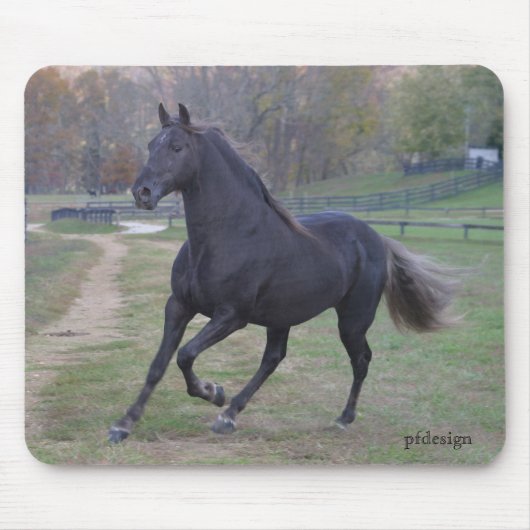 Stallion Muismat (Voorkant)