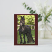 Stallion Painting-Briefkaarten Briefkaart (Staand voorkant)