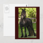 Stallion Painting-Briefkaarten Briefkaart (Voorkant / Achterkant)