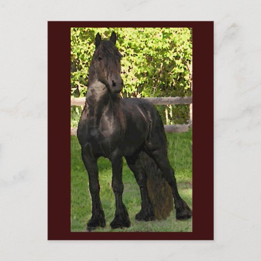 Stallion Painting-Briefkaarten Briefkaart (Voorkant)