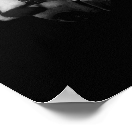 Stallion Poster (Hoek)