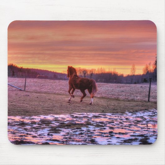 Stallion Running Home op Sunset on Ranch Muismat (Voorkant)