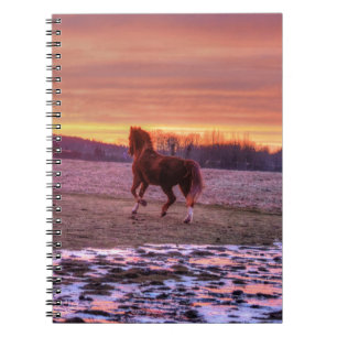 Stallion Running Home op Sunset on Ranch Notitieboek