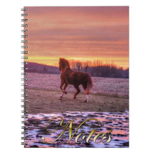 Stallion Running Home op Sunset on Ranch Notitieboek