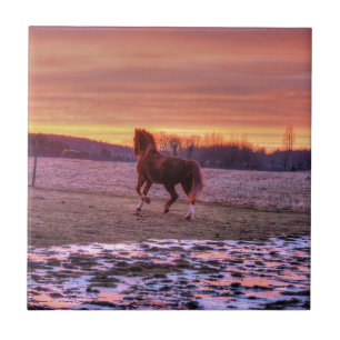 Stallion Running Home op Sunset on Ranch Tegeltje