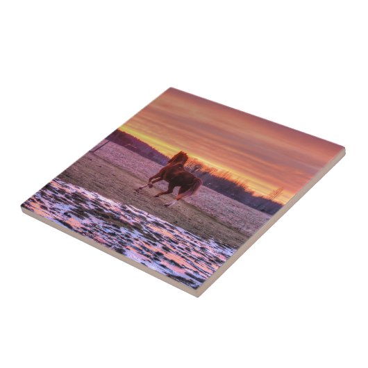 Stallion Running Home op Sunset on Ranch Tegeltje (Zijkant)
