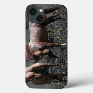 Stallion Spar iPhone 13 Hoesje