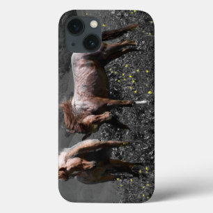 Stallion Spar iPhone 13 Hoesje