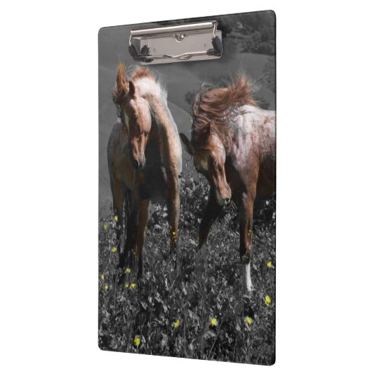 Stallion Spar Klembord (Links)