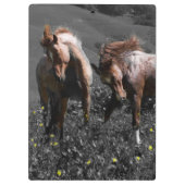 Stallion Spar Klembord (Achterkant)