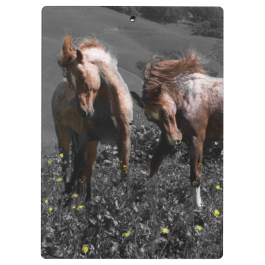 Stallion Spar Klembord (Achterkant)