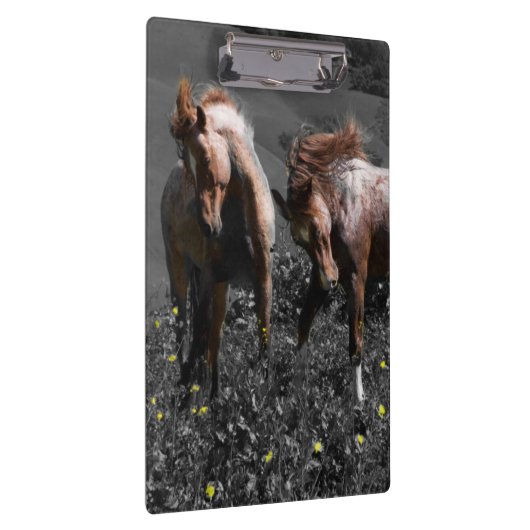 Stallion Spar Klembord (Rechts)