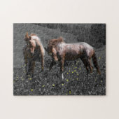 Stallion Spar Legpuzzel (Horizontaal)