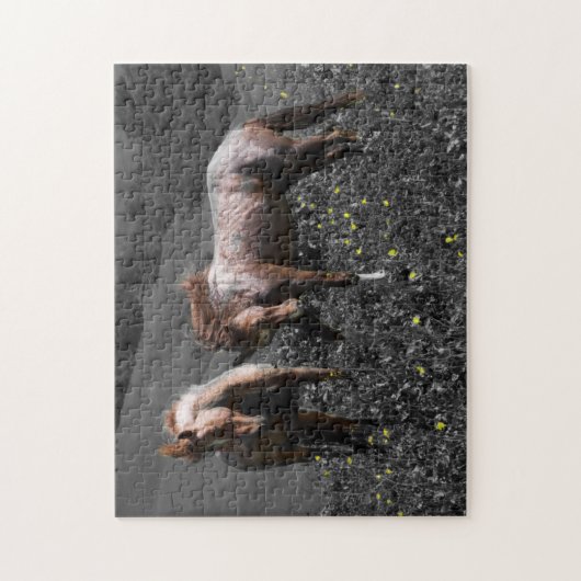 Stallion Spar Legpuzzel (Verticaal)