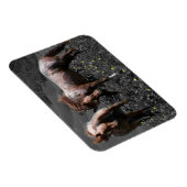 Stallion Spar Magneet (Rechterzijde)