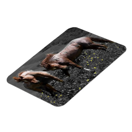 Stallion Spar Magneet (Linkerzijde)