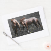 Stallion Spar Rechthoekige Sticker (Envelop)