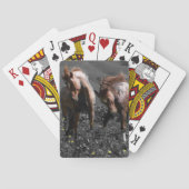 Stallion Spar Speelkaarten (Achterkant)