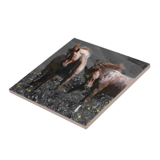 Stallion Spar Tegeltje (Zijkant)