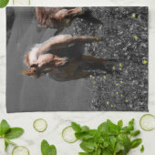 Stallion Spar Theedoek (Gevouwen)