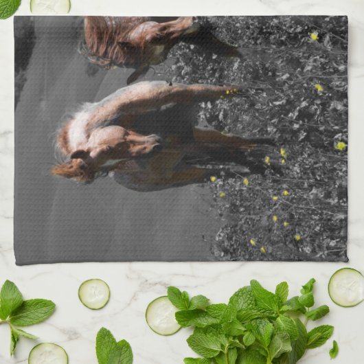 Stallion Spar Theedoek (Gevouwen)