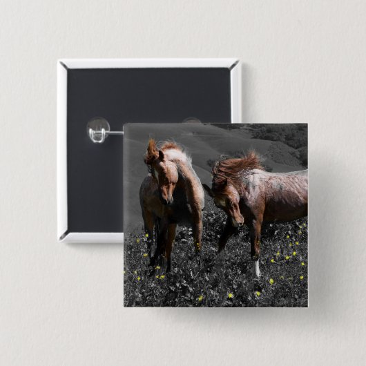 Stallion Spar Vierkante Button 5,1 Cm (Voorkant /achterkant)