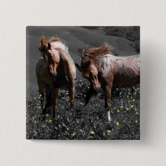 Stallion Spar Vierkante Button 5,1 Cm (Voorkant)