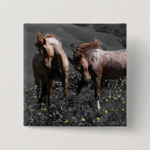 Stallion Spar Vierkante Button 5,1 Cm