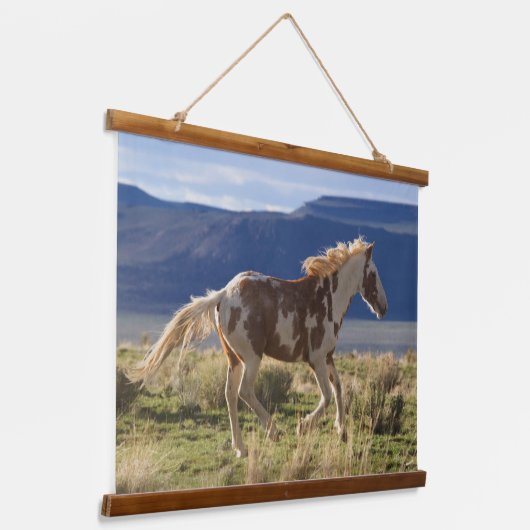 Stallion, Steens-bergen, Oregon Hangend Wandkleed (Gebogen)