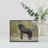 Stallion Strut Briefkaart (Staand voorkant)
