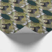 Stallion Strut Cadeaupapier (Hoek)