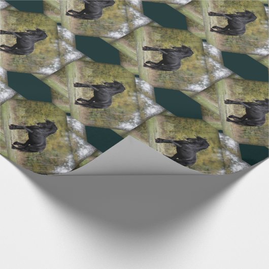 Stallion Strut Cadeaupapier (Hoek)