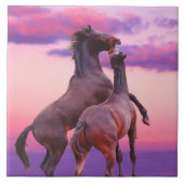 Stallions die Tile spelen Tegeltje (Voorkant)