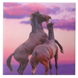 Stallions die Tile spelen Tegeltje