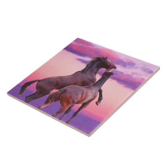 Stallions die Tile spelen Tegeltje (Zijkant)