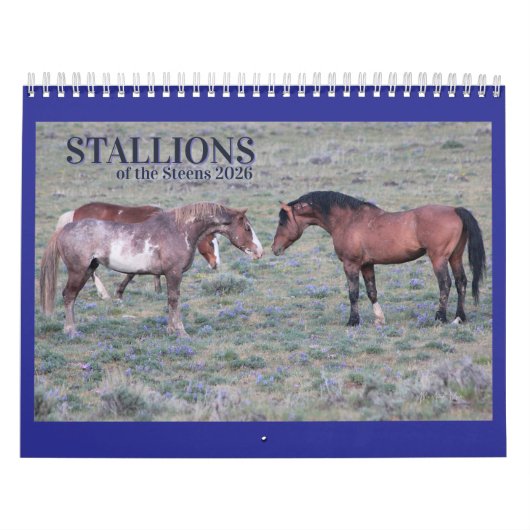 "Stallions" MustangWild 2026 Agenda Kalender (Hoes)
