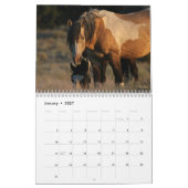 "Stallions" MustangWild 2026 Agenda Kalender (Jan 2027)