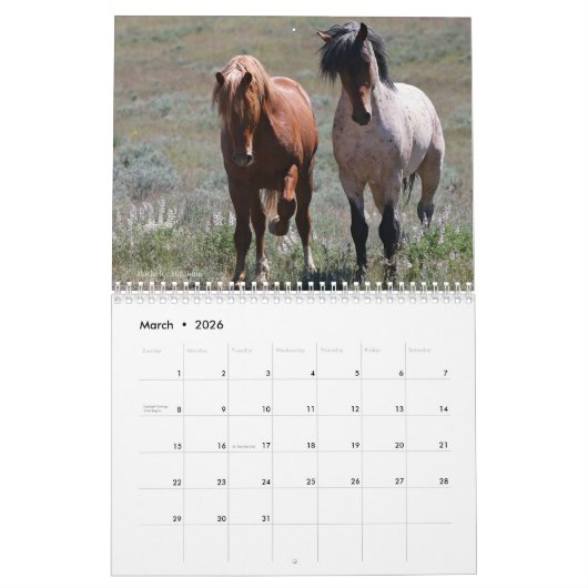 "Stallions" MustangWild 2026 Calendar Kalender (Mar 2026)