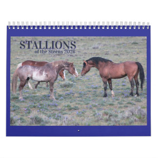 "Stallions" MustangWild 2026 Calendar Kalender