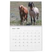 "Stallions" MustangWild 2026 Calendar Kalender (Mar 2027)