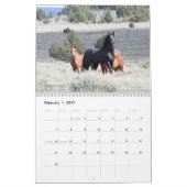 "Stallions" MustangWild 2026 Calendar Kalender (Feb 2027)